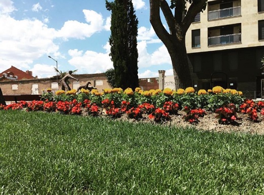 PLAZA DE SAN AGUSTÍN, (Plaza de los Galgos)